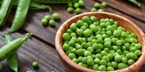 Grašak: koristi i štete za organizam, zdravlje muškaraca i žena, hemijski sastav